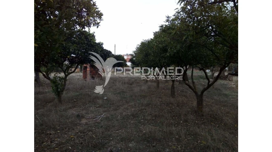 Terreno para Venda em Rio de Moinhos Foto 10