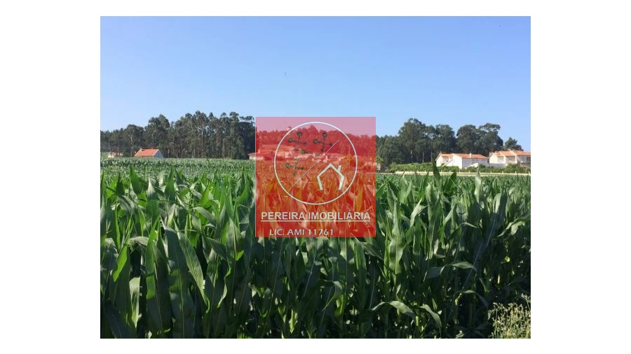 Terreno para Venda em Laundos Foto 7