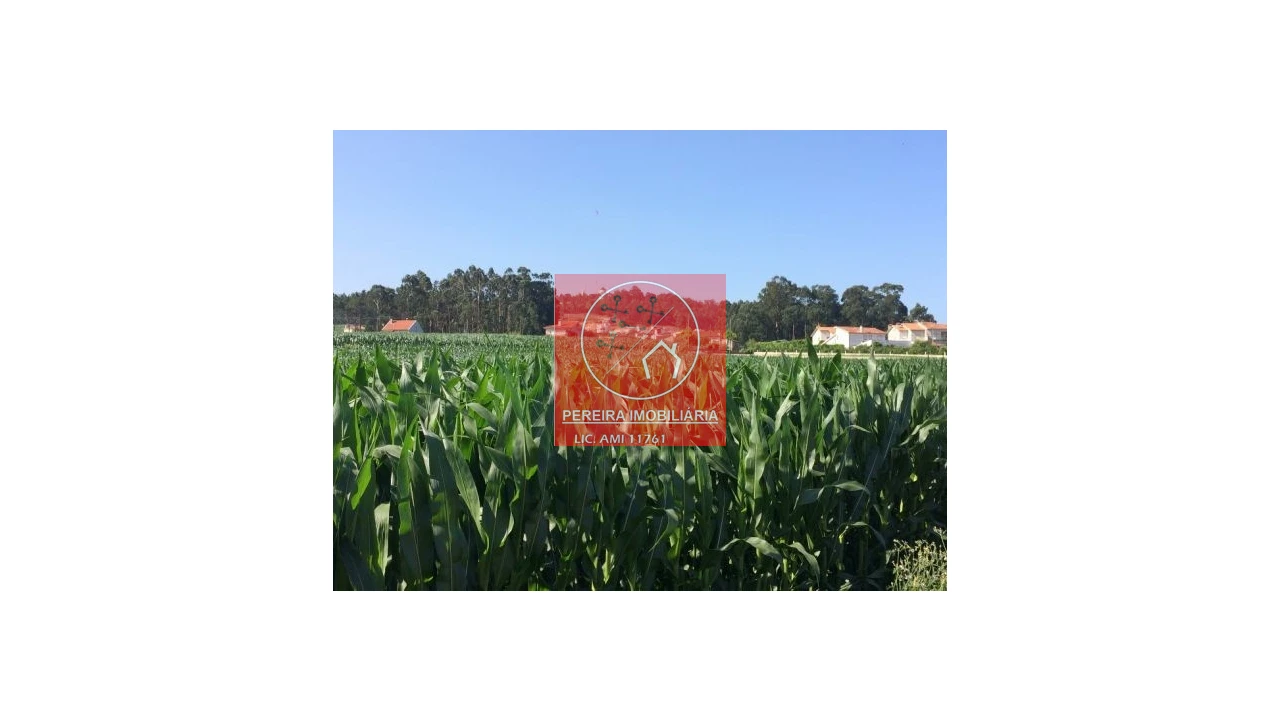 Terreno para Venda em Laundos Foto 7