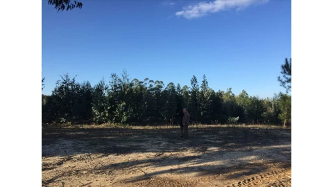 Terreno para Venda em Marrazes e Barosa