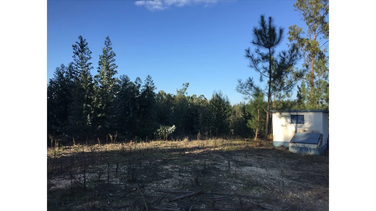 Terreno para Venda em Marrazes e Barosa Foto 3