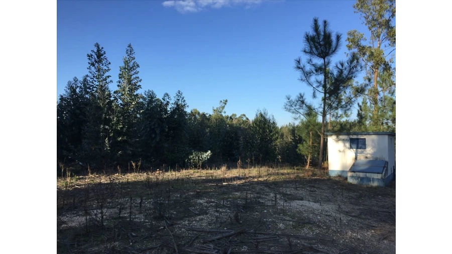 Terreno para Venda em Marrazes e Barosa Foto 3