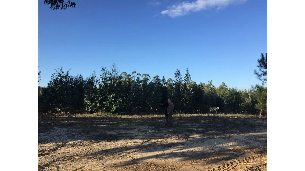 Terreno para Venda em Marrazes e Barosa Foto 2