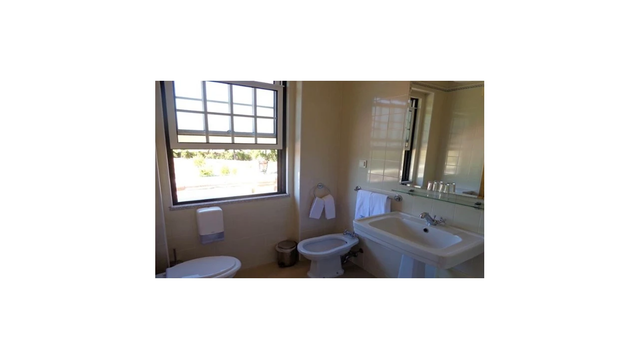 Quinta T5 para Venda em Abrunhosa-A-Velha Foto 9