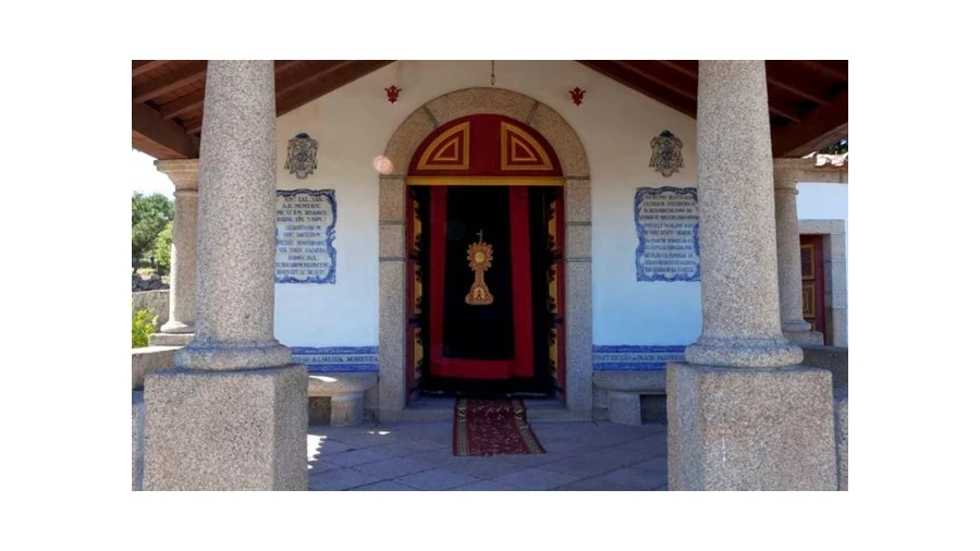 Quinta T5 para Venda em Abrunhosa-A-Velha Foto 15