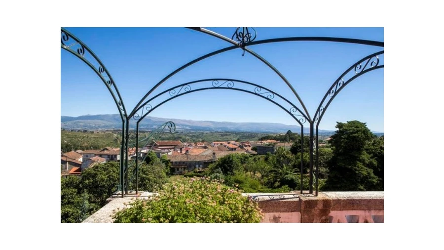 Quinta T5 para Venda em Abrunhosa-A-Velha Foto 19