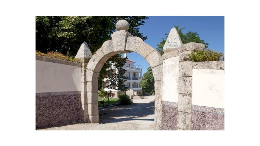 Quinta T5 para Venda em Abrunhosa-A-Velha Foto 3