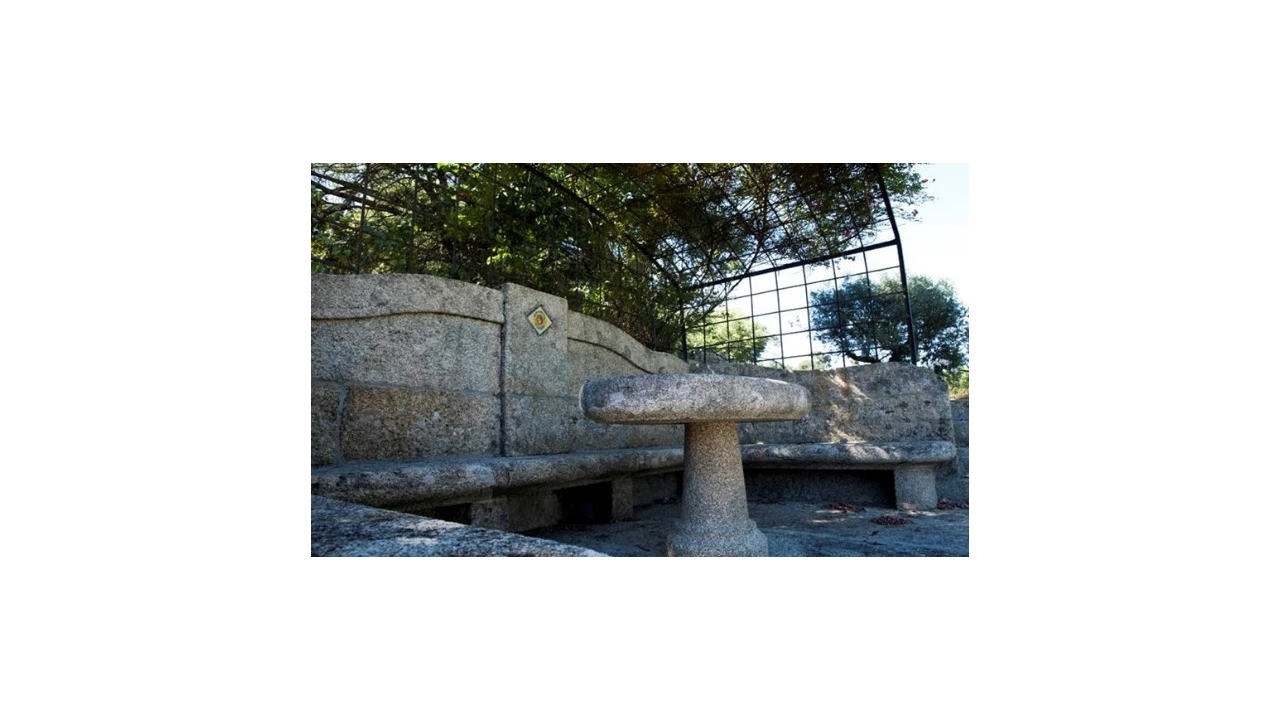 Quinta T5 para Venda em Abrunhosa-A-Velha Foto 21