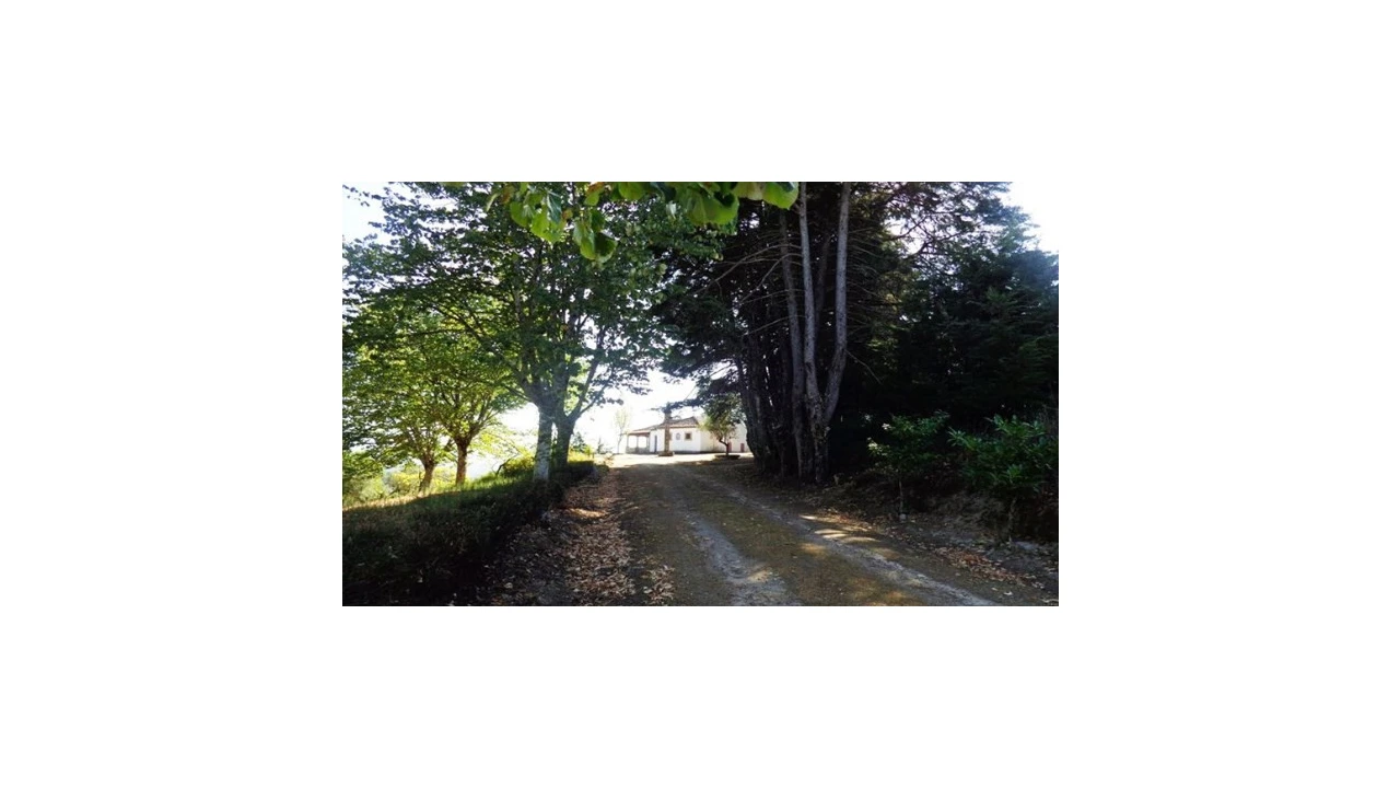 Quinta T5 para Venda em Abrunhosa-A-Velha Foto 22