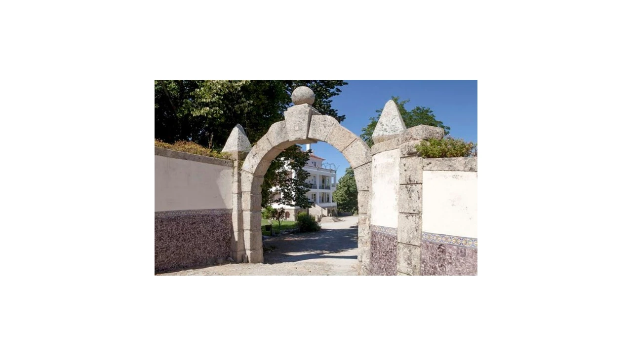 Quinta T5 para Venda em Abrunhosa-A-Velha Foto 3