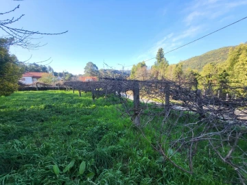 Moradia T2 para Venda em Montaria