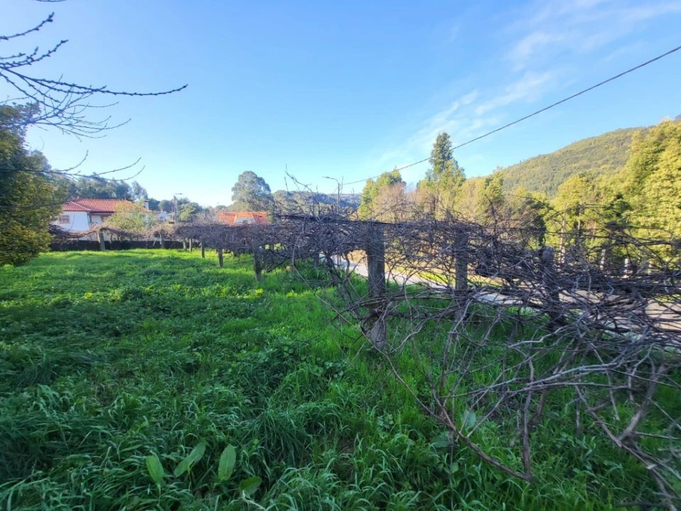 Moradia T2 para Venda em Montaria Foto 26