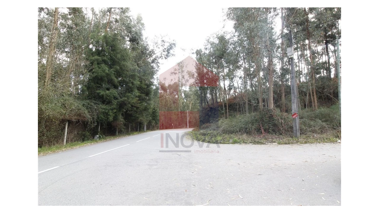 Terreno para Venda em Ponte Foto 7