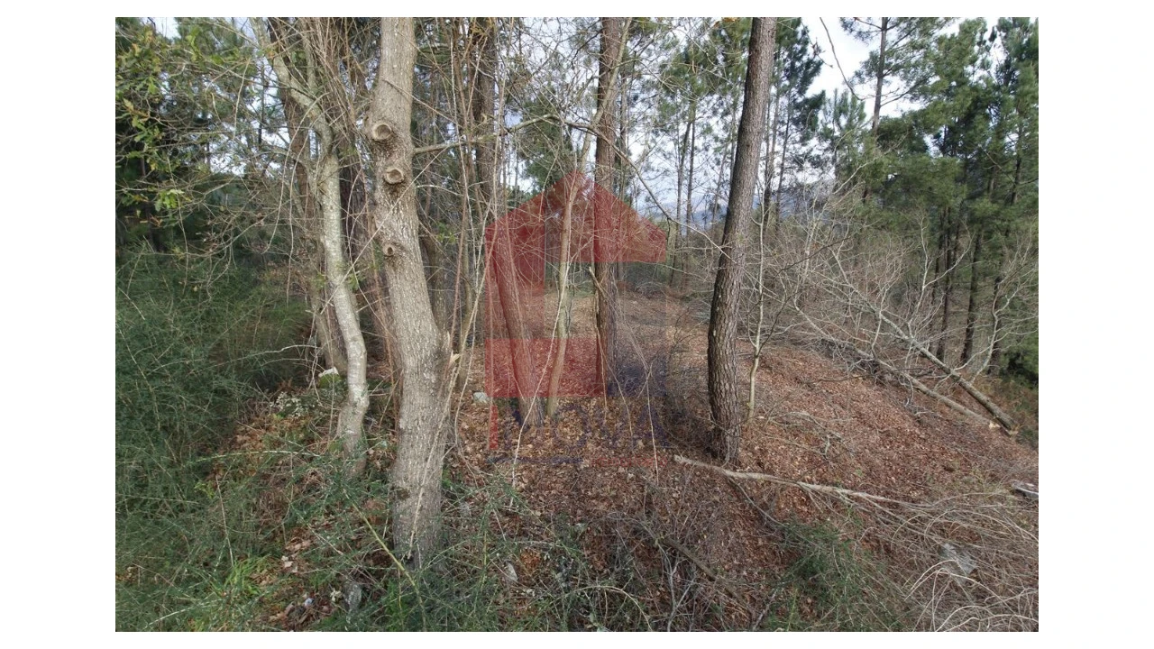 Terreno para Venda em Ponte Foto 11