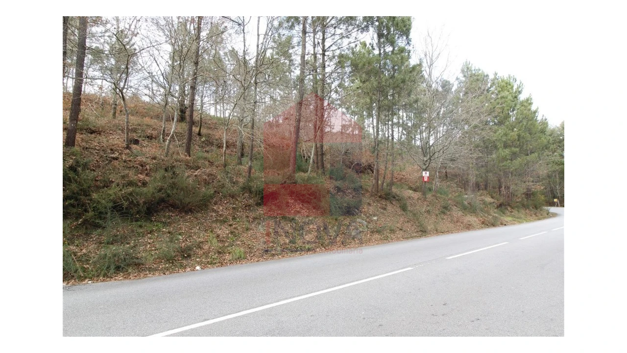 Terreno para Venda em Ponte Foto 1