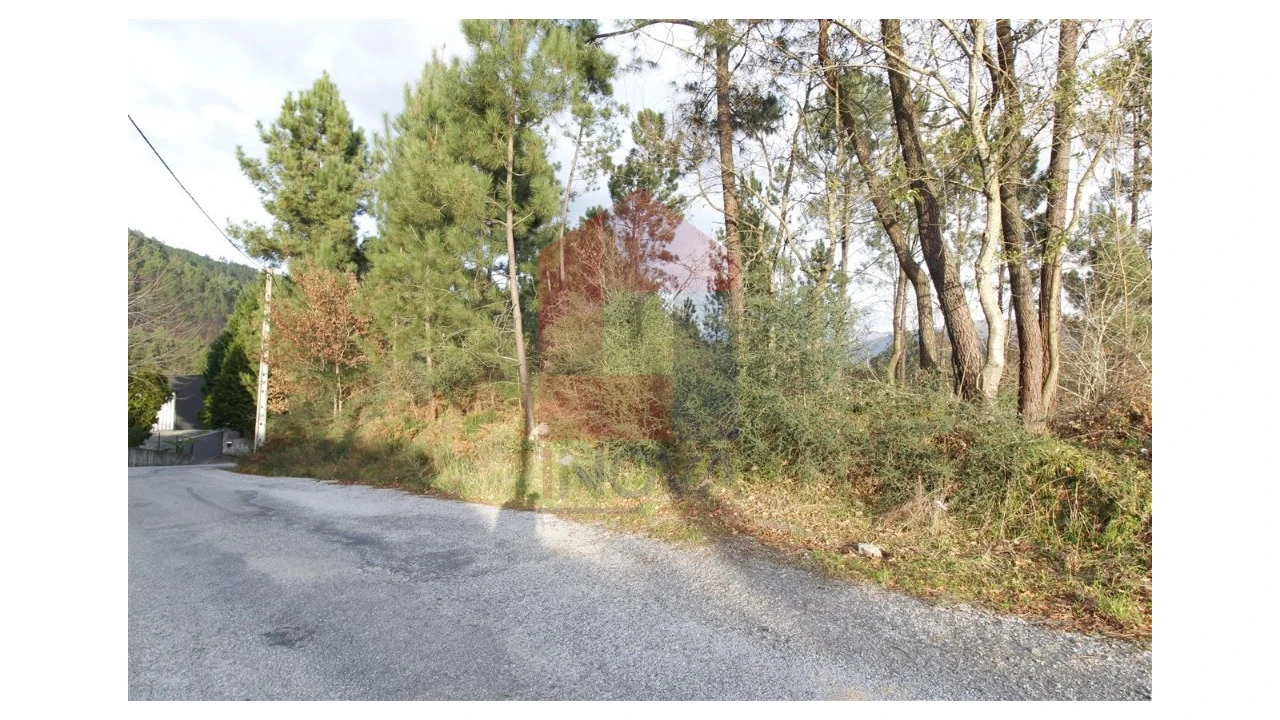 Terreno para Venda em Ponte Foto 10