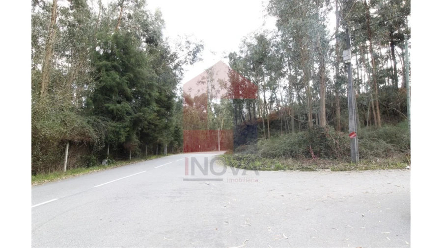 Terreno para Venda em Ponte Foto 7