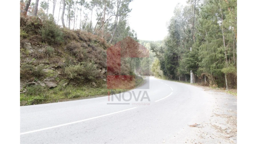 Terreno para Venda em Ponte Foto 4