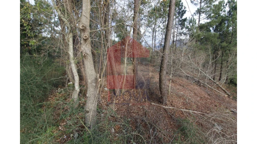 Terreno para Venda em Ponte Foto 11