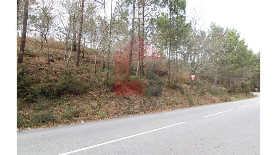 Terreno para Venda em Ponte Foto 1
