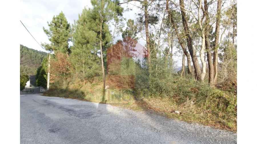 Terreno para Venda em Ponte Foto 10