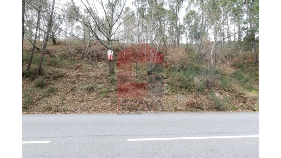 Terreno para Venda em Ponte Foto 3