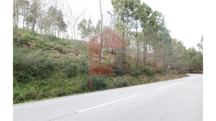 Terreno para Venda em Ponte Foto 2