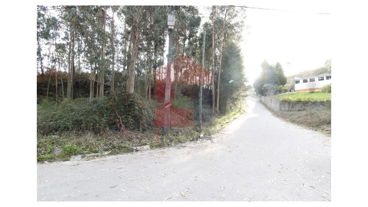 Terreno para Venda em Ponte Foto 8