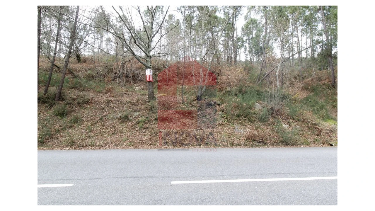 Terreno para Venda em Ponte Foto 3