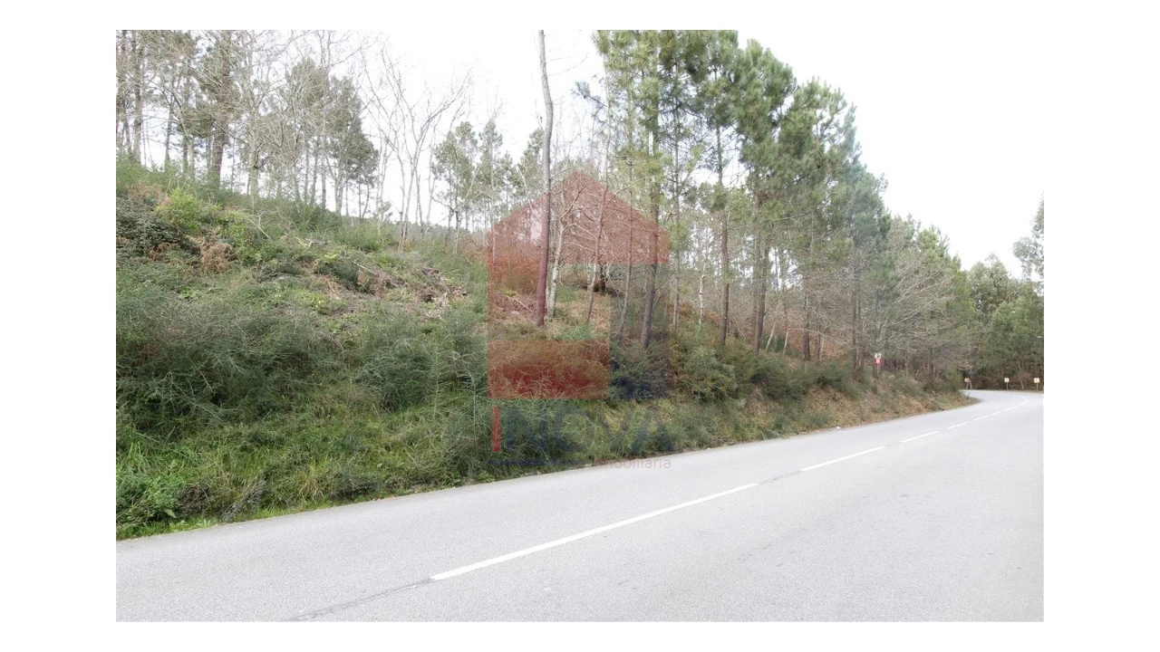 Terreno para Venda em Ponte Foto 2