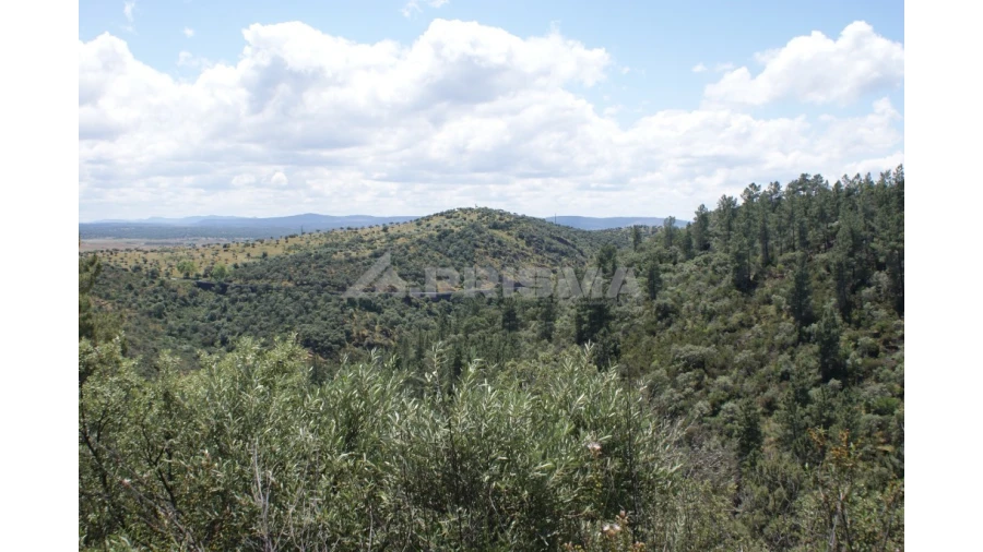 Terreno para Venda em Escalos de Baixo e Mata Foto 7