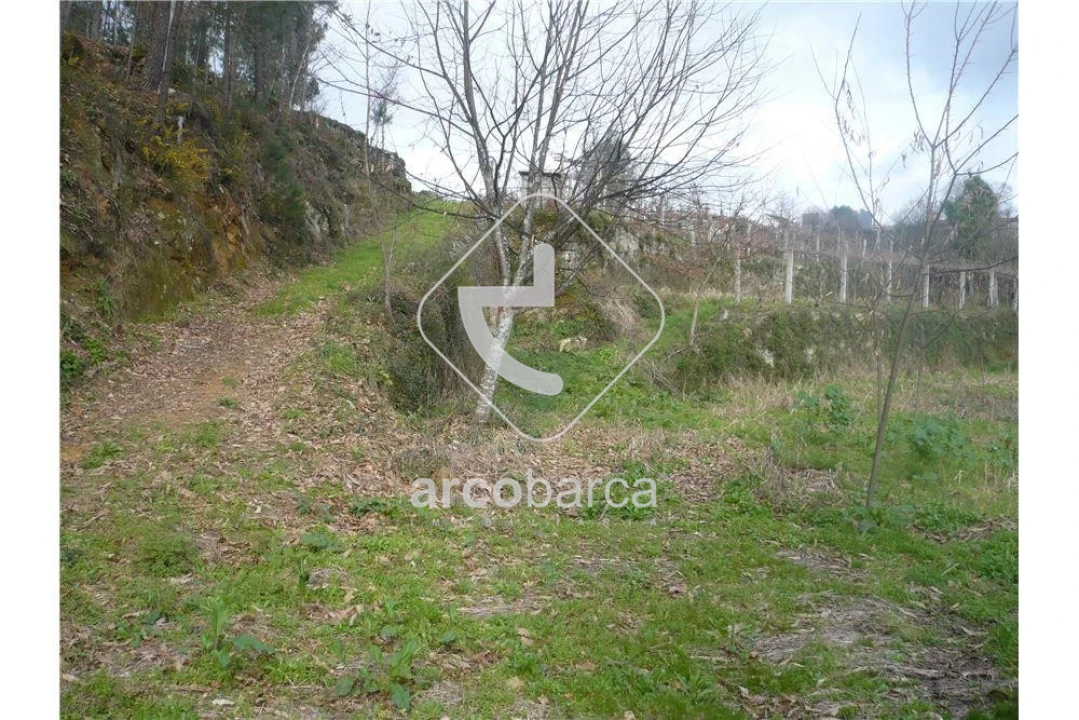 Terreno para Venda em Couto Foto 5