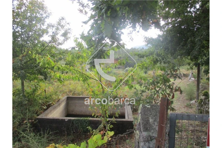 Terreno para Venda em Couto Foto 2