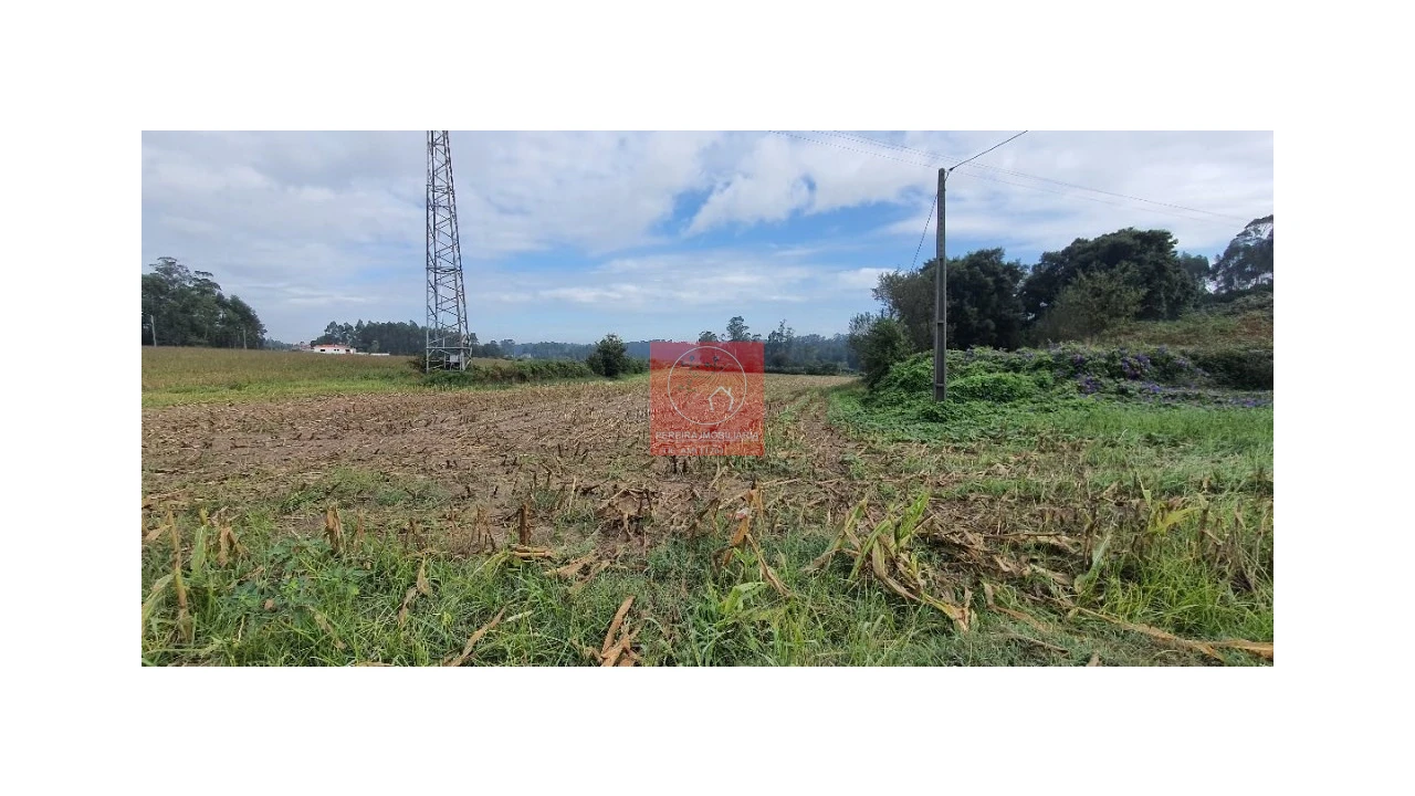 Terreno para Venda em Macieira da Maia Foto 3