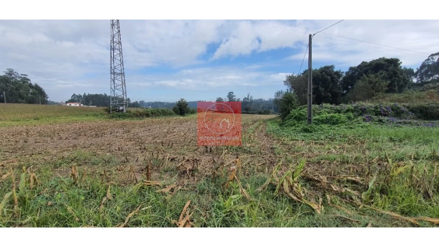 Terreno para Venda em Macieira da Maia Foto 3