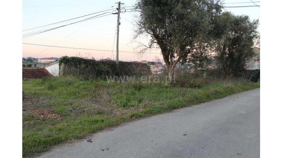 Terreno para Venda em Sebal e Belide Foto 2