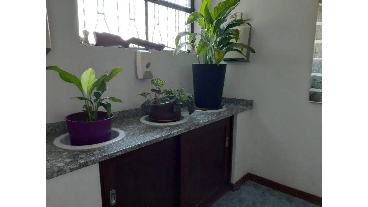 Negócio para Venda em Rio Caldo Foto 31