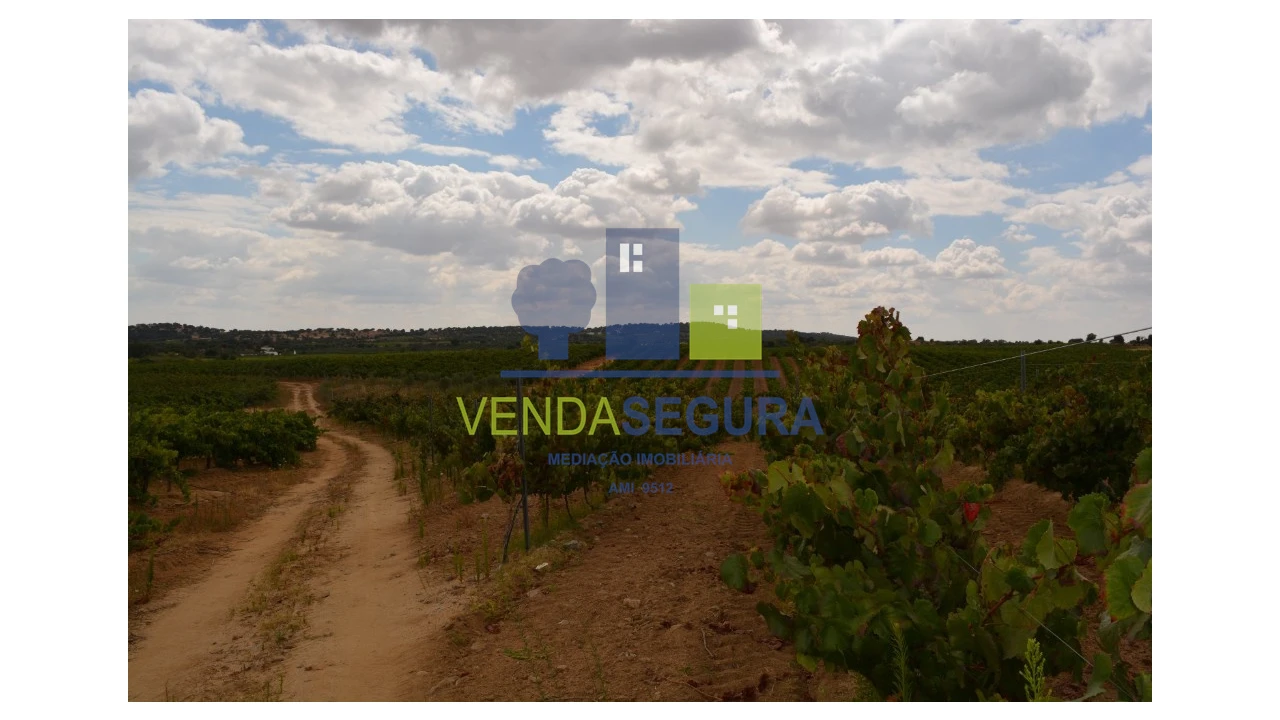 Terreno para Venda em Vila de Frades Foto 2