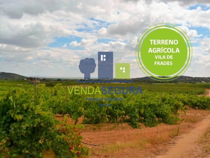 Terreno para Venda em Vila de Frades Foto 1