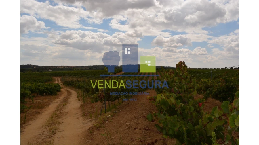 Terreno para Venda em Vila de Frades Foto 2
