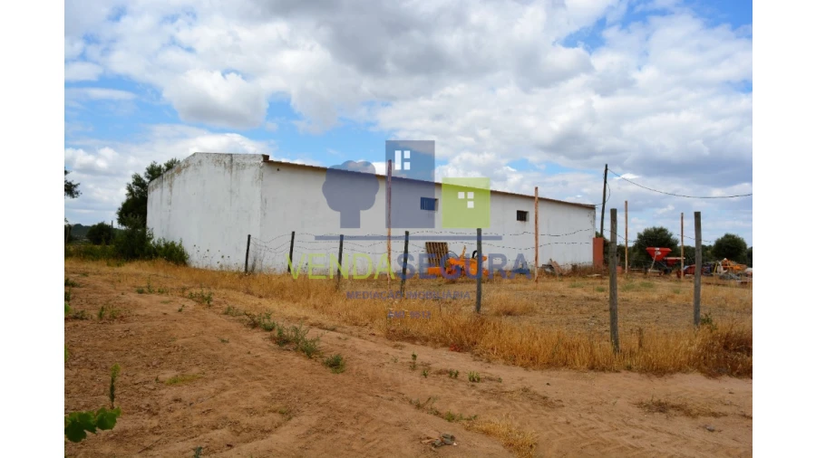 Terreno para Venda em Vila de Frades Foto 3
