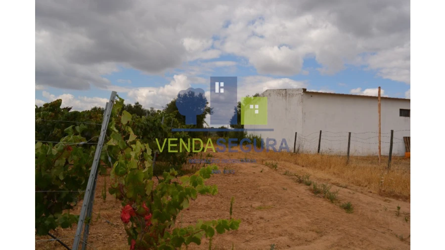 Terreno para Venda em Vila de Frades Foto 7