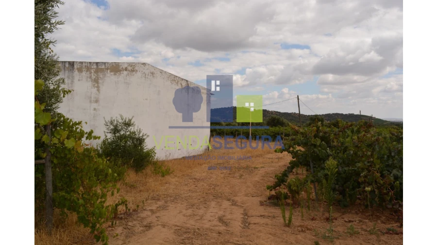 Terreno para Venda em Vila de Frades Foto 8