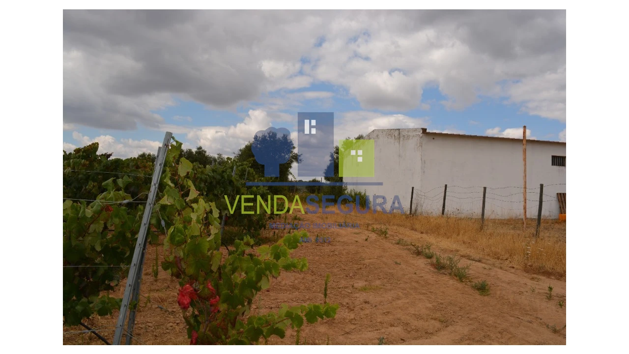 Terreno para Venda em Vila de Frades Foto 7