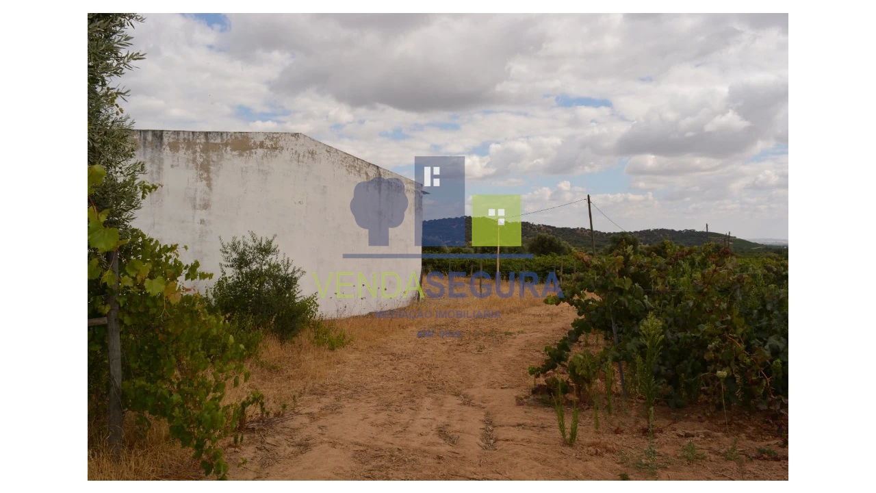 Terreno para Venda em Vila de Frades Foto 8