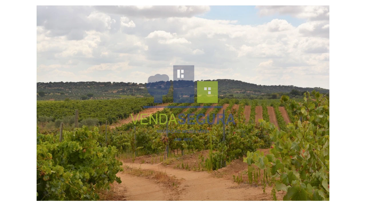 Terreno para Venda em Vila de Frades Foto 4