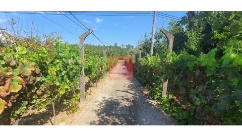 Moradia T4 para Venda em Abraveses