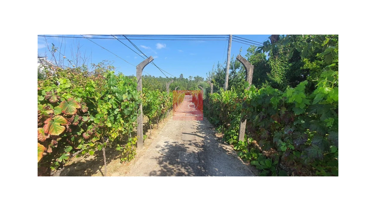 Moradia T4 para Venda em Abraveses Foto 20