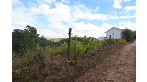 Terreno para Venda em Almalagues