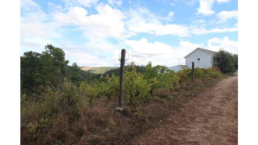 Terreno para Venda em Almalagues Foto 3